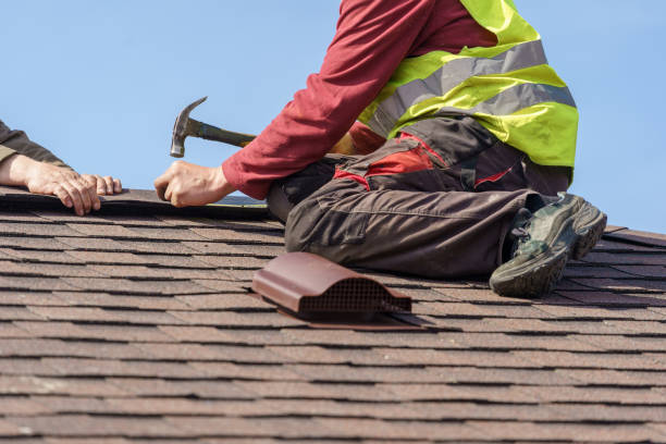 Best Roof Leak Repair  in Ddleville, MI