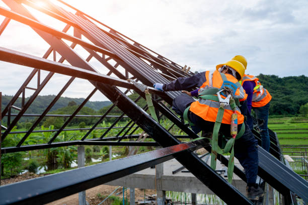 Best Sealant for Roof  in Ddleville, MI