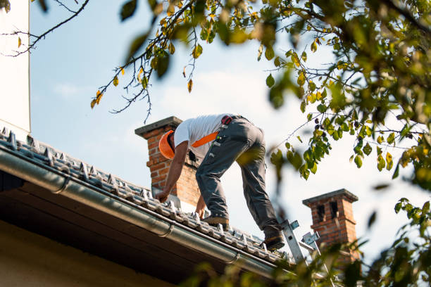 Best Shingle Roofing Installation  in Ddleville, MI