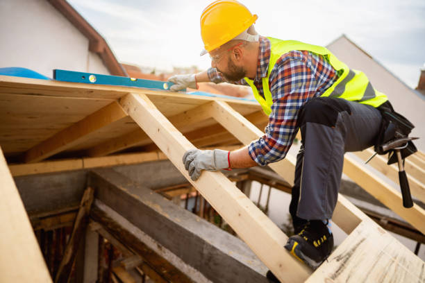 Best Roof Gutter Cleaning  in Ddleville, MI