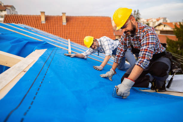 Best Roof Maintenance Services  in Ddleville, MI