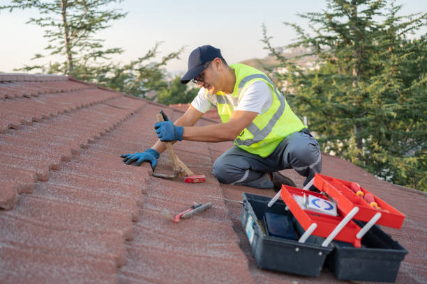 Best Commercial Roofing Services  in Ddleville, MI