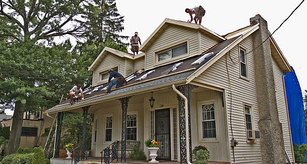 Professional Roofing Contractor in Middleville, MI