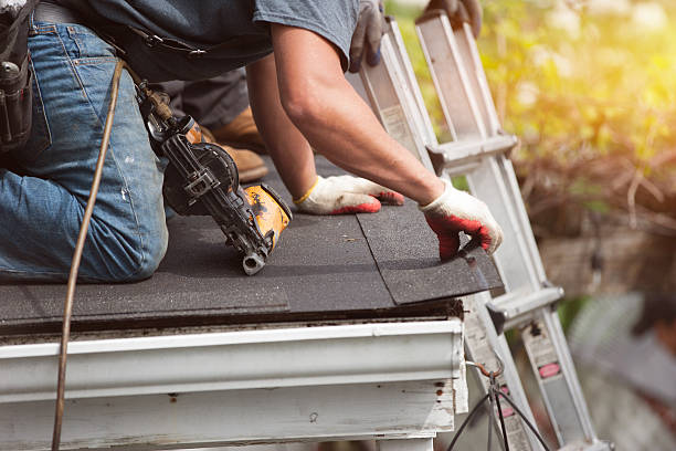 Best Roof Restoration Services  in Ddleville, MI