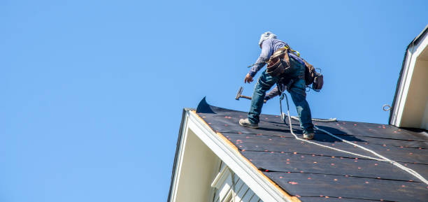 Best Roofing Contractor Near Me  in Ddleville, MI
